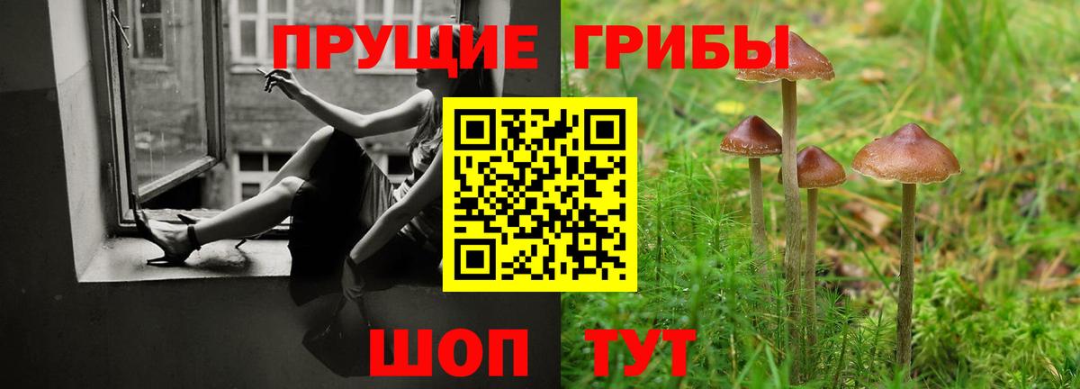 Елизово  Псилоцибиновые грибы MAGIC MUSHROOMS  Вход с VPN 