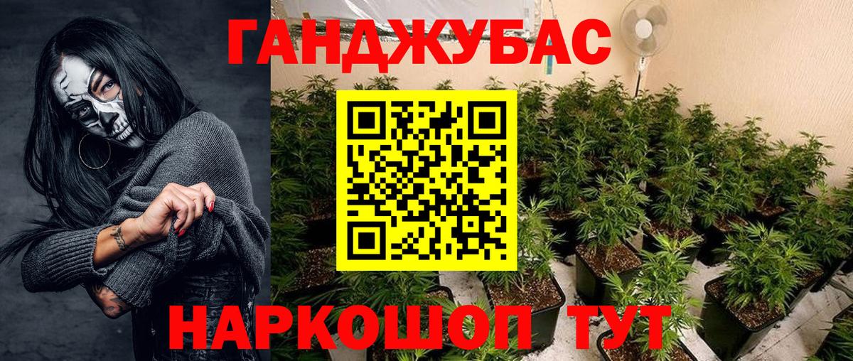 Бошки Шишки OG Kush  Вход с VPN  Каннабис SATIVA & INDICA  Канабис семена  Бошки Шишки сатива  Елизово 